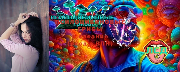 тгк Богданович